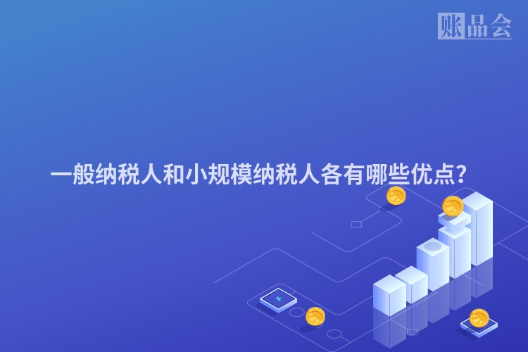 一般纳税人和小规模纳税人各有哪些优点？