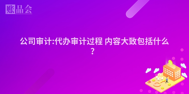 公司审计:代办审计过程 内容大致包括什么?
